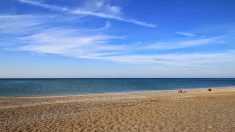 Appello di Unioncamere e Assonautica: sul mare occorrono scelte coraggiose