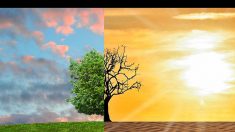 Siracusano: governo realista su cambiamento climatico