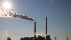 Usa: le normative anti-Co2 sono inutili per l’ambiente e dannose per l’economia