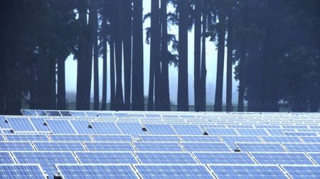 Gava: puntare tutto sulle rinnovabili è pericoloso