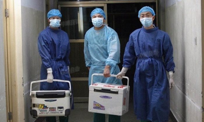 I medici trasportano organi freschi per il trapianto in un ospedale nella provincia dell'Henan, Cina, il 16 agosto 2012. (Screenshot via Sohu.com)