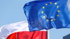 Polonia riceve sei offerte per acquisto sottomarini