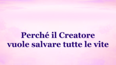 Perché il Creatore vuole salvare tutte le vite