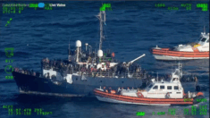 “Incomprensibile come i migranti possano venire da noi e commettere crimini”