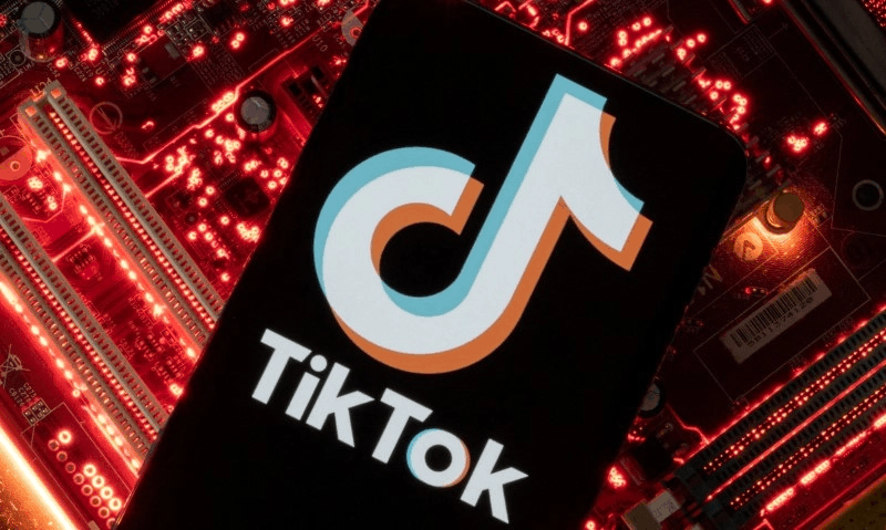 TikTok bloccato per un anno in Albania