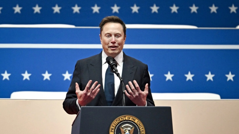 Elon Musk (foto: Angela Weiss/AFP tramite Getty Images)