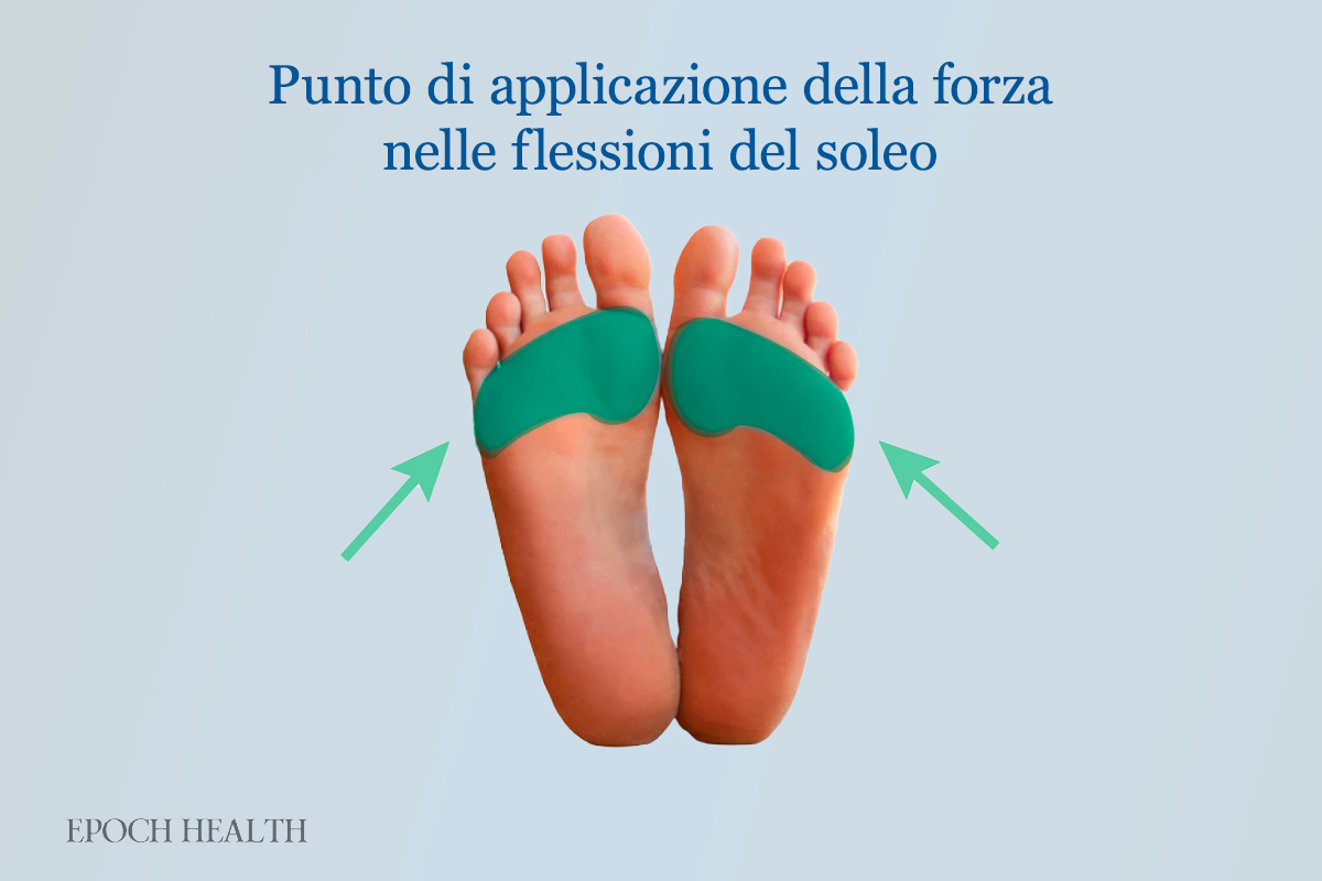 Punto di applicazione della forza nelle flessioni del soleo