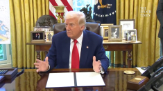 Il vero senso dei dazi decisi da Trump