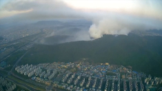 Corea del Sud in fiamme, i vigili del fuoco lottano contro gli incendi