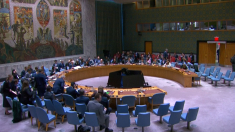 La Francia accusa la Russia di non volere il cessate il fuoco