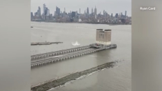 Elicottero precipita nel fiume Hudson a New York, sei morti