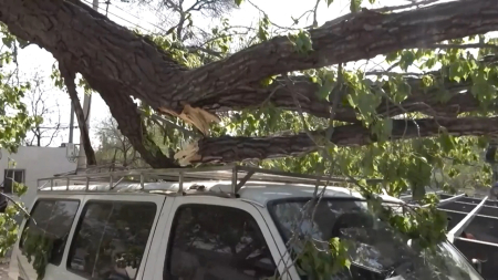 Violente raffiche di vento abbattono oltre 800 alberi a Pechino