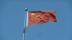 Cina: capacità nucleare installata ha superato 120 milioni di chilowatt