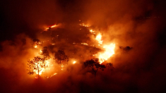 Incendio devastante sulla brughiera di Poole