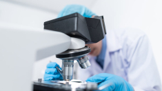 Ricerca, Andrea Lenzi presidente del Cnr