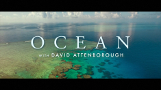 Il trailer del documentario per la difesa degli oceani: Ocean with David Attenborough