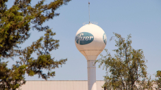 Pfizer interrompe lo sviluppo di un farmaco per dimagrire