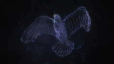 Il cielo del Qatar si illumina durante il Festival di Lusail