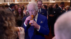 Carlo d’Inghilterra suona una carota