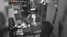 Ancona, sorpresi a rubare dopo una spaccata in gioielleria. Due arresti