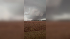 Tornado e forti piogge colpiscono gli Stati Uniti