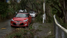 Tempesta storica in Nuova Zelanda: Venti record e alluvioni nella Capitale