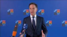 Rutte: ora la palla è alla Russia