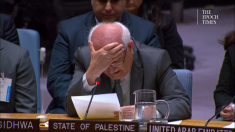 Inviato palestinese all’Onu piange raccontando la morte dei bambini a Gaza