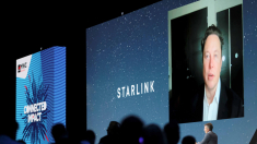 Salvini: Starlink? Fs fa scelte autonome
