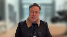 Elon Musk lascia Doge e torna a Space X e Tesla