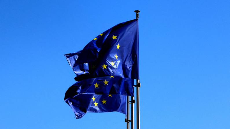 Bandiere del'Ue, foto: REUTERS/Yves Herman/File Photo