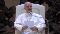 Leone all’inizio della sua prima udienza