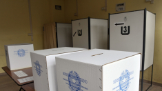 Cosa dicono i referendum dell’8 e 9 giugno