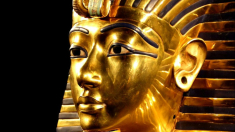 La “testa” della mummia di Ramses II al Salone dei beni culturali di Ferrara
