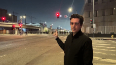 Speciale rivolta a Los Angeles: i rivoltosi sono organizzati