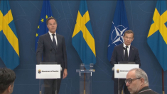 Rutte: la Nato deve lavorare per allentare la tensione in Medio Oriente