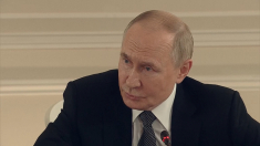 Putin avverte: con l’invio dei missili Taurus la Germania entrerebbe nel conflitto ucraino
