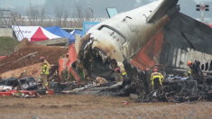 Strage aerea in Corea del Sud 15 funzionari indagati per negligenza
