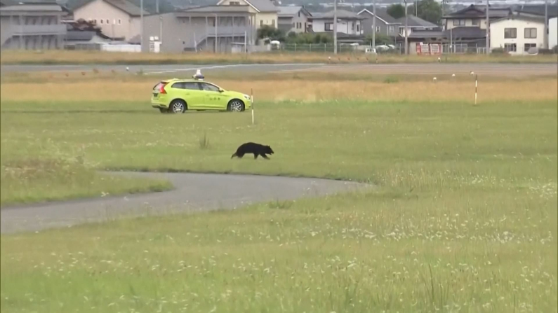 Video: Reuters