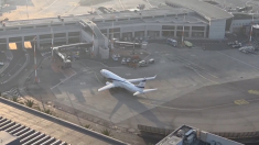 Primo volo di israeliani dall’estero atterra all’aeroporto Ben Gurion
