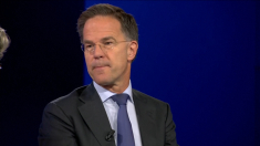 Rutte: europei non devono preoccuparsi del sostegno Usa alla Nato