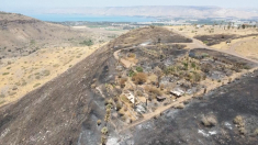 Il “Giardino della Vita” in cenere dopo la guerra con l’Iran