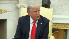 Trump non è interessato a parlare con Musk