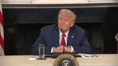 Trump: non intendo recedere dai servizi Starlink