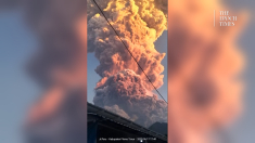 Colonna di cenere si innalza dal monte Lewotobi Laki-laki in Indonesia