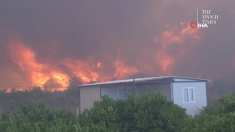 Incendi nella provincia di Smirne, in Turchia