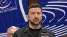 Zelensky chiede cooperazione per perseguire i criminali di guerra «Putin incluso»