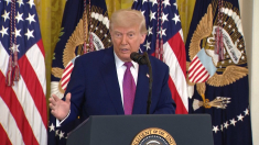 Trump parla bene delle Tesla, pace è fatta con Musk?