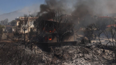 Incendio devastante in Grecia