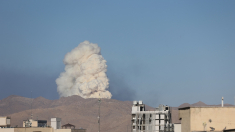 Gribaudo (Pd): serve cambio di passo politica estera